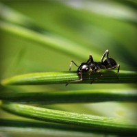 /album/hrigrecolse/photolia-a05-jpg/