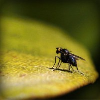 /album/hrigrecolse/photolia-a07-jpg/